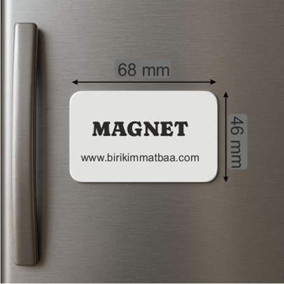 Magnet