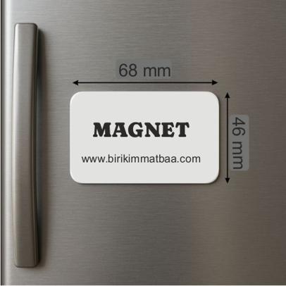 Magnet